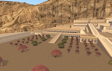 New garden overview