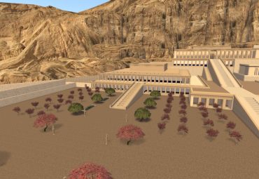 New garden overview