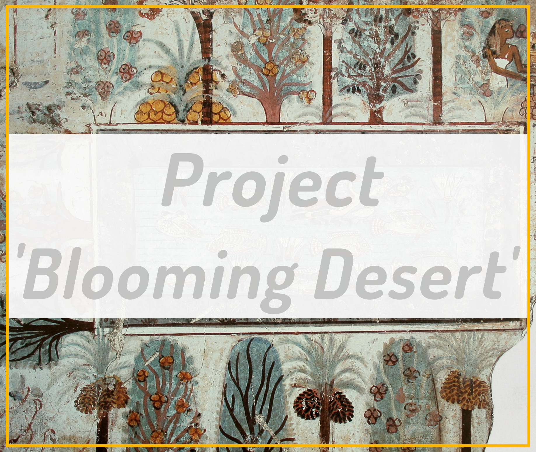 main picture of the Project blooming desert