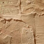 Where was the land of Punt